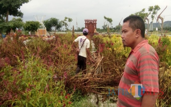 Pergantian Bunga di Nangkula Park yang tetap membutuhkan biaya besar (Foto : Istimewa / TulungagungTIMES)