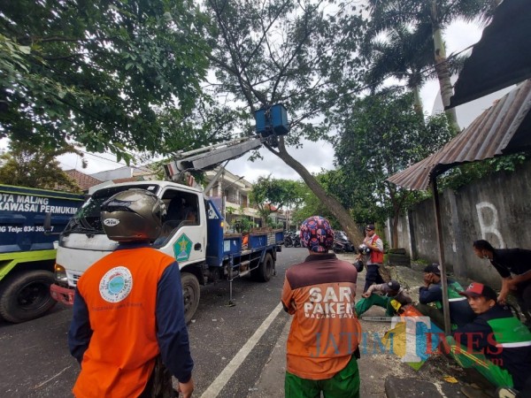 Evakuasi pohon rawan tumbang di kawasan Jalan Tenes samping Mall Olympic Garden, Rabu (17/2/2021). (Foto: Tubagus Achmad/ MalangTIMES)