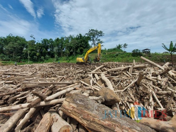 Kondisi batang pohon yang terbawa arus banjir bandang di Sungai Klethek, Kecamatan Ngantang, Kabupaten Malang. 