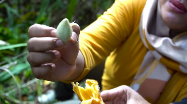 Buah langka 1