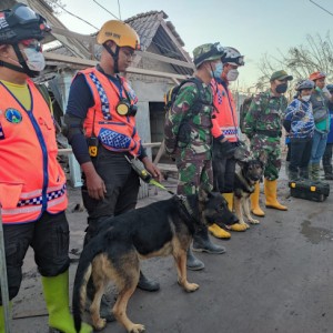 SAR Dog Indonesia Apresiasi Langkah Wali Kota Sutiaji Larang Perdagangan Daging Anjing