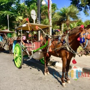 Ada Dokar Gratis di Alun-alun Kota Batu, Catat Jadwalnya