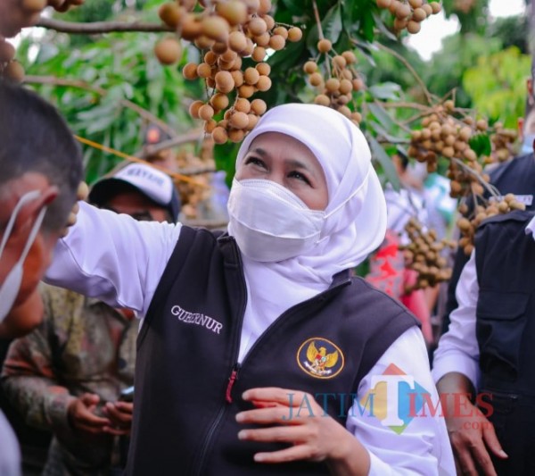 Khofifah: Stok Minyak Goreng Melimpah, Ingatkan Pengawasan dari Hulu hingga Hilir