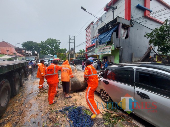 Hujan Lebat Disertai Angin Kencang Guyur Kota Malang, BPBD Catat 6 Pohon Tumbang