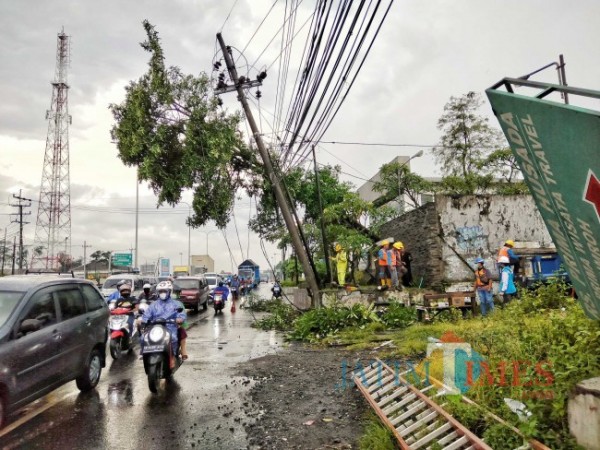 Diguyur Hujan Lebat dan Angin Kencang, Pohon dan Tiang Listrik di Singosari Nyaris Timpa Pengendara