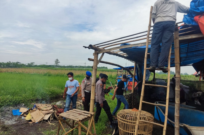 Sebagai efek jera beberapa barang bukti seperti sangkar ayam dan terpal dibakar di tempat oleh petugas.  (Foto: Istimewa)