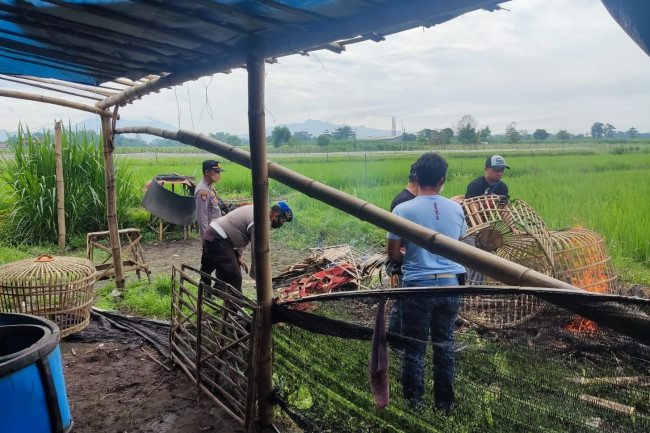 Sebagai efek jera beberapa barang bukti seperti sangkar ayam dan terpal dibakar ditempat oleh petugas. (Foto: Istimewa)