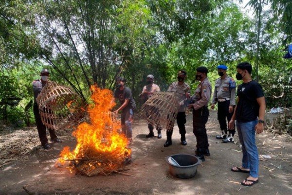 Resmob Satreskrim Polres Kediri Bubarkan Arena Judi Sabung Ayam