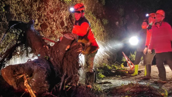 Hujan Deras Disertai Angin, Jalur Payung Longsor dan Pohon Tumbang