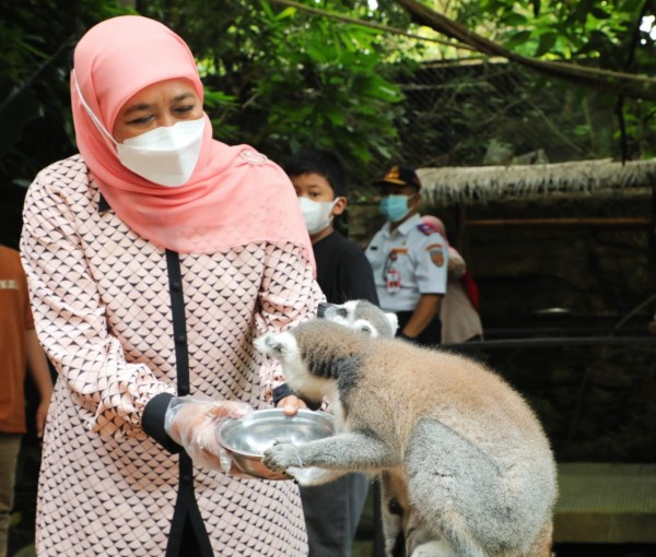 Gubernur-Khofifah-burung-5c876a75f0281611c.jpg