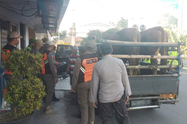 (Foto: Dok. Istimewa)