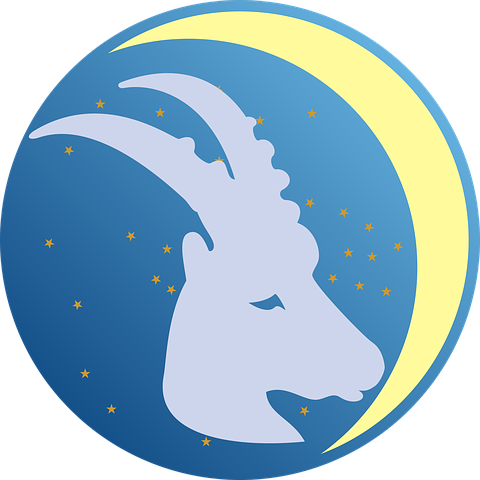 Capricorn