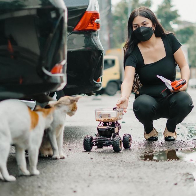 Ariel Tatum beri makan kucing jalanan