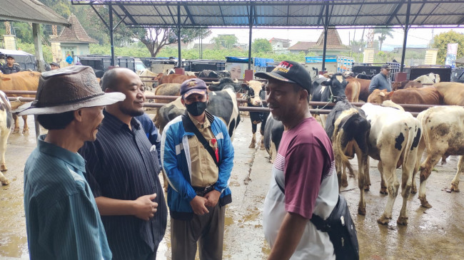 Wakil Ketua DPRD Kabupaten Malang, Sodiqul Amin meninjau aktifitas di Pasar Hewan Pujon.(Foto: Riski Wijaya/MalangTIMES).