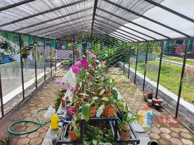 Green house.