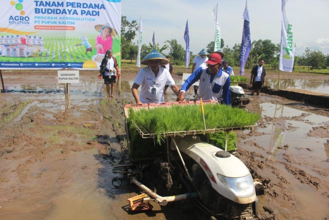 Simbolik bajak sawah yang dilakukan PT Pupuk Kaltim (foto: istimewa) 