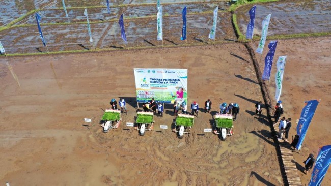 Tampak atas bajak sawah di Ponorogo bersama PT Pupuk Kaltim (foto: istimewa) 