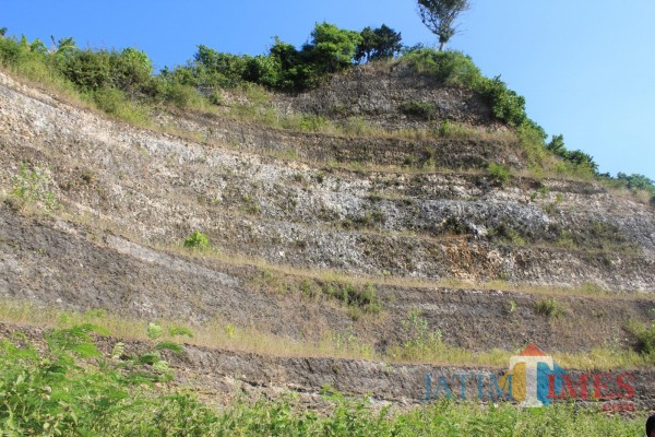 Batu-Gamping-yang-terlihat-berlapis-lapis-di-sebelah-Jembatan-pantai-Ungapan-Kecamatan-Gedanganf155e8b6cfdbe076.jpg