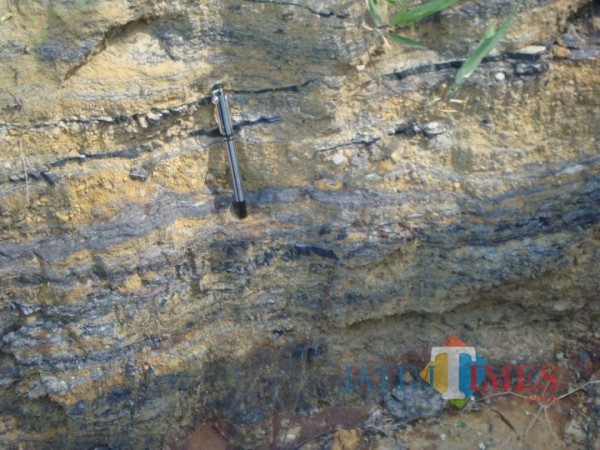 Lapisan-Batubara-di-desa-Argotirto-Kecamatan-Sumbermanjing-Wetan-Kabupaten-Malang0147ddbe4faa4154.jpg