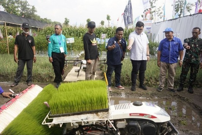 Mas Dhito sedang melihat dan meninjau hasil panen dari poktan