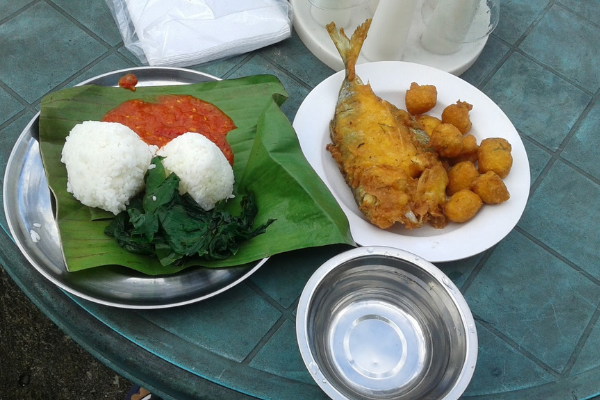 Nasi Sala