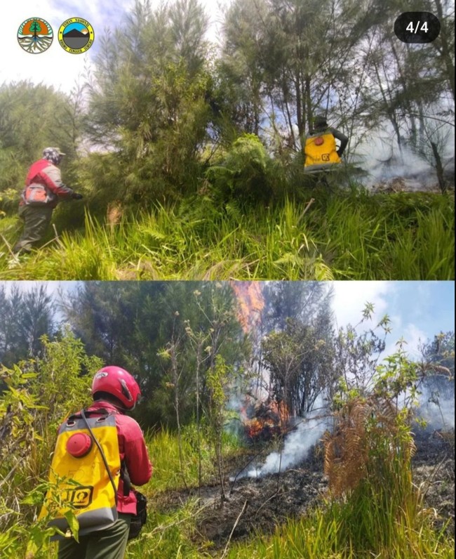 Proses pemadaman oleh tim gabungan. (Foto: Instagram)