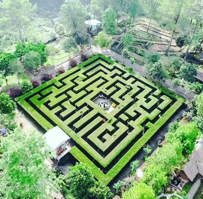 Labirin Coban Rondo ala Hampton Court Palace, Inggris. (Foto: Instagram)