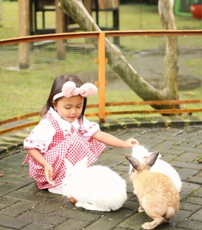 Taman Kelinci Habbit Pujon Ala Hobbiton, Selandia Baru. (Foto: Instagram)