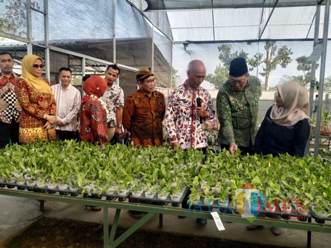 Memberikan penjelasan. 