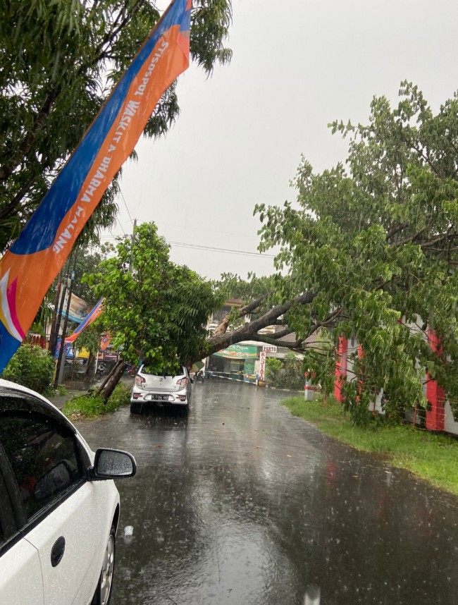 Pohon tumbang di Jalan Indragiri menimpa sebuah kendaraan mobil. (Foto: x)