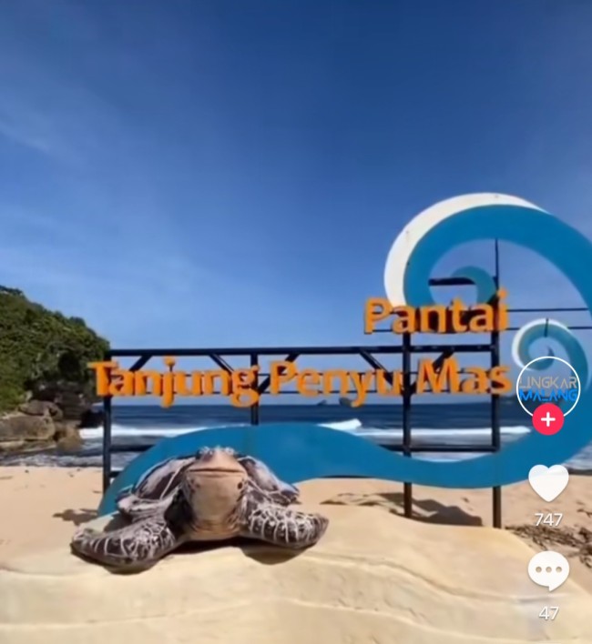 Salah satu spot foto di Pantai Tanjung Penyu Malang. (Foto: TikTok)