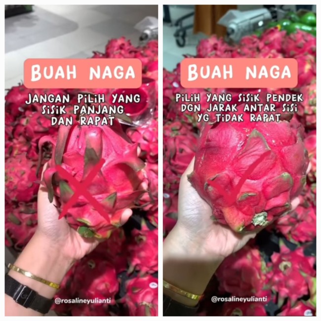 Cara memilih buah naga. (Foto: TikTok)