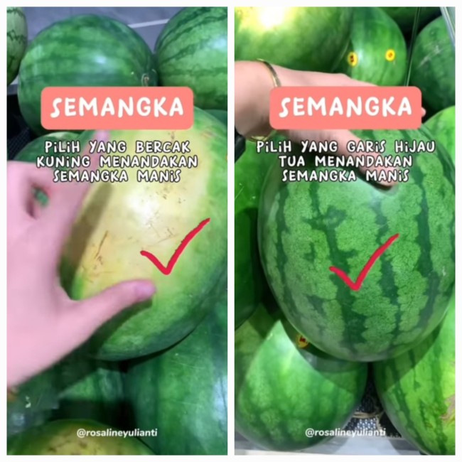 Cara memilih semangka. (Foto: TikTok)