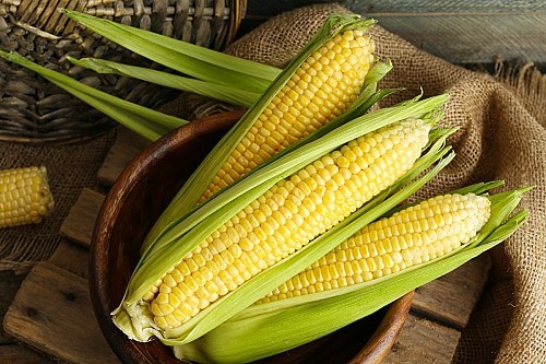Jagung