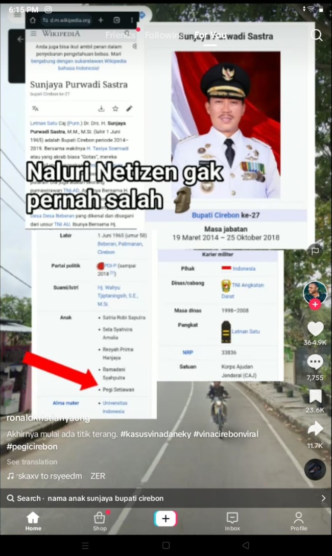 Laman Wikipedia yang mencantumkan nama Pegi Setiawan sebagai anak eks Bupati Cirebon Sunjaya Purwadi Sastra. (Foto: TikTok)