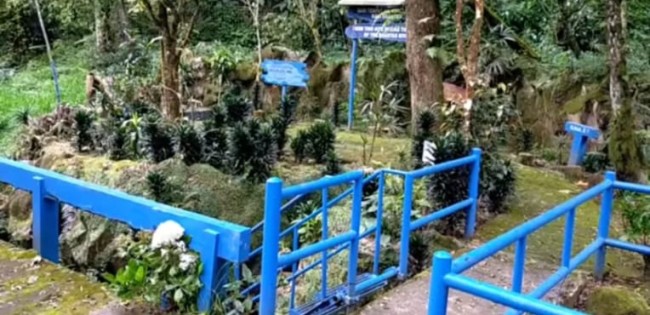 Suasana di Arboretum Sumber Brantas Kota Batu. (Foto: YouTube)