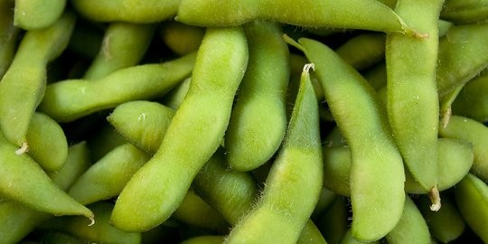 Edamame