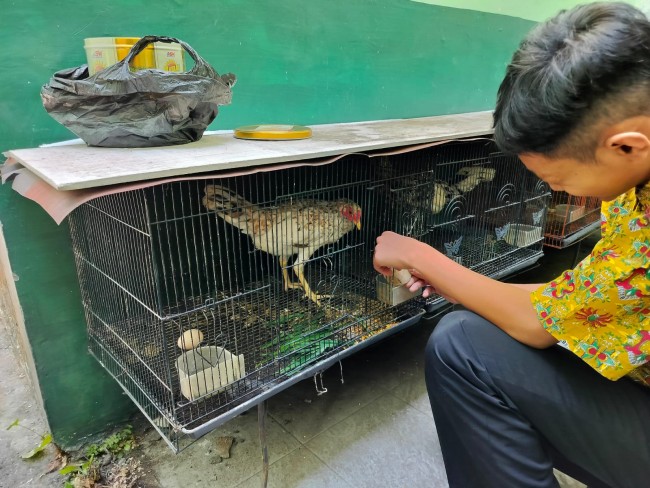 Tampak siswa juga dilatih beternak ayam ras. (Foto: istimewa)