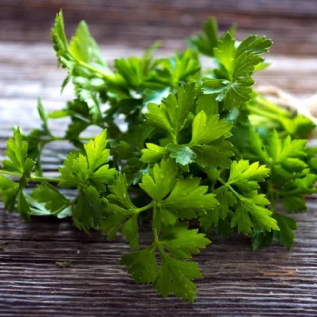 Daun parsley