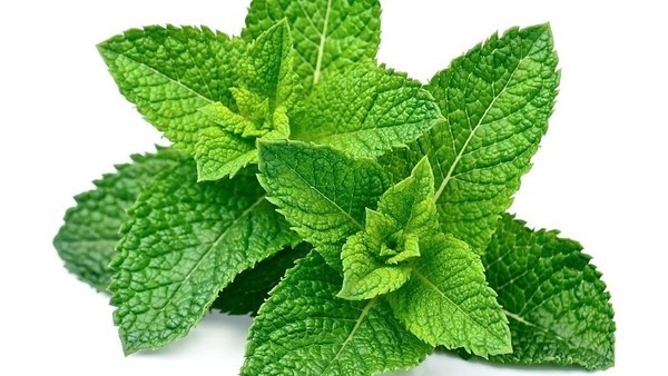 Peppermint