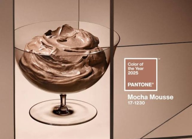 Tone warna mocca mousse yang dirilis Pantone. (Foto: Smithsonian Magazine