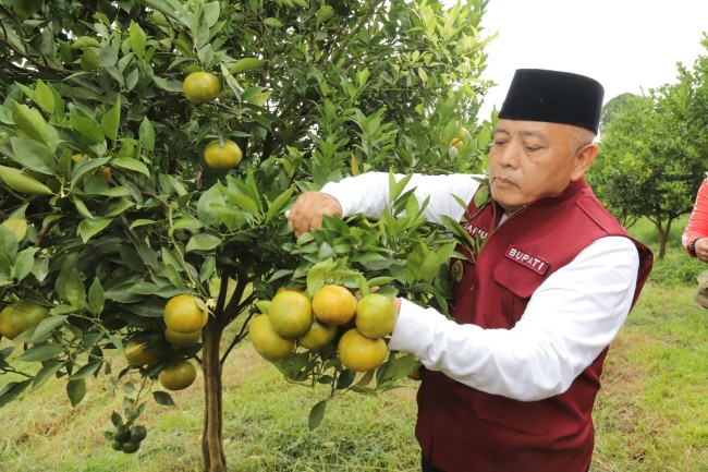Bupati Malang HM. Sanusi saat melakukan kunjungan kerja jelajah desa dalam rangka mewujudkan Malang Makmur. (Foto: Prokopim Setda Kabupaten Malang)