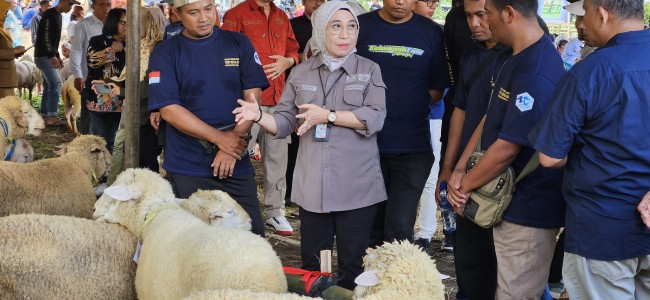 Momen Kepala Dinas Peternakan Provinsi Jawa Timur Dr. Ir. Indyah Aryani, MM saat berada di area kontes domba. (Foto: istimewa)