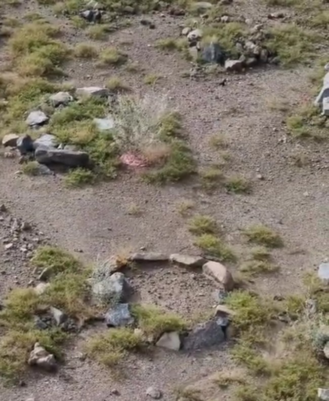 Makam anak kecil dengan lingkar tanda yang lebih kecil. (Foto: TikTok)