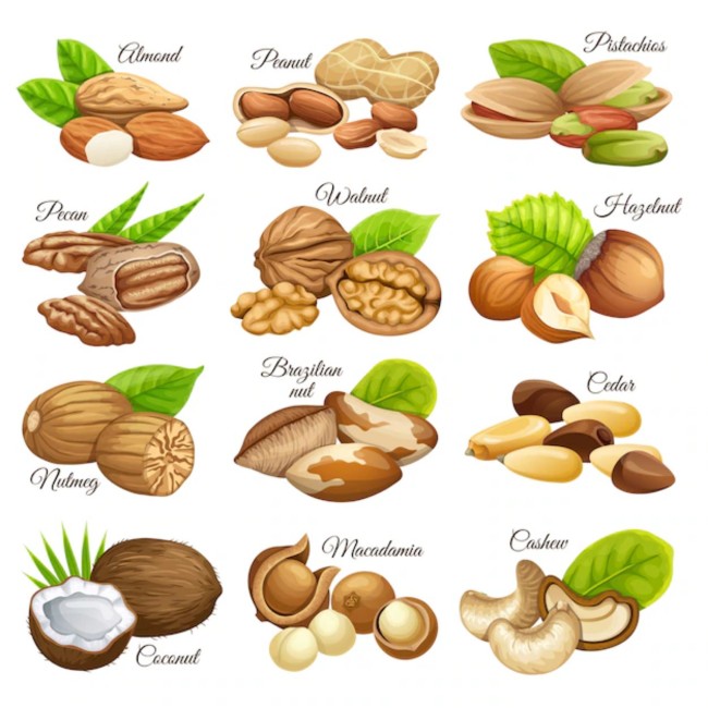Kacang-kacangan. (Foto: Freepik) 