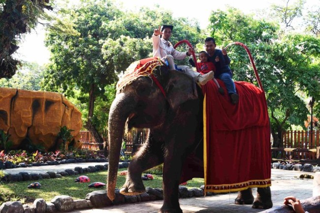 Kebun binatang Surabaya