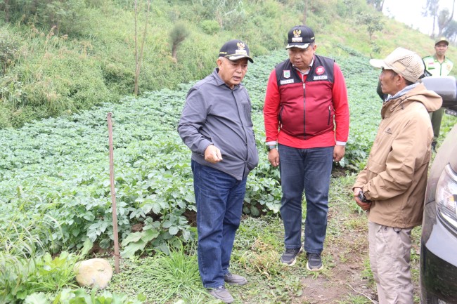ladang.