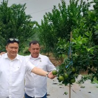 DPKPCK Kabupaten Malang Bangun Sarana Air Minum Masyarakat, Sasar 510 Sambungan Rumah di 2025