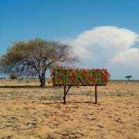 Sejarah & Fakta Menarik Taman Nasional Baluran, Surga Savana di Ujung Timur Jawa