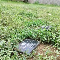 Pemakaman Hewan di Kota Malang Dikeluhkan, Penanggung Jawab Dokter ARB Buka Suara